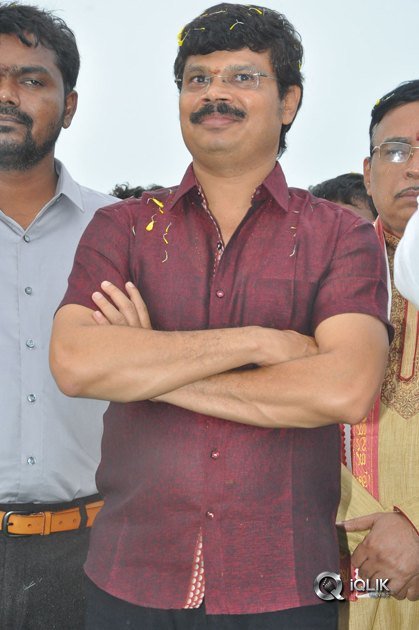 Jaya-Janaki-Nayaka-Movie-Vijayotsava-Veduka-At-Hamsala-Deevi